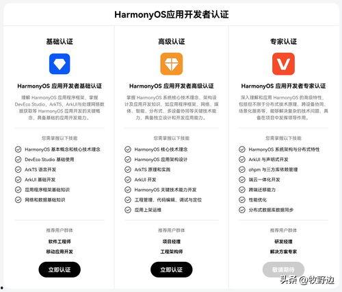 如何查询头条认证时间,轻松掌握账号认证历程”
