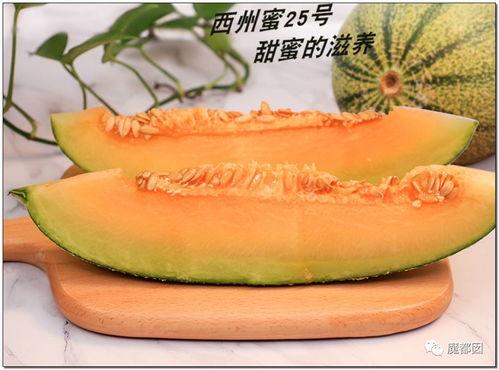 九龙明珠吃瓜,揭秘网红吃瓜背后的故事