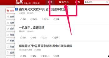 头条什么是网络文章审核,守护清朗网络空间的守护者
