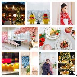 成都网红室外下午茶店,品味时光的悠闲角落