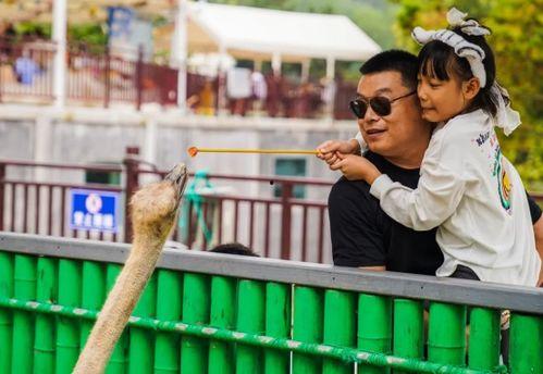 盘锦网红撒个欢,带你领略东北风情