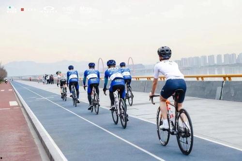 今日头条骑行感言,探寻速度与自由的完美融合