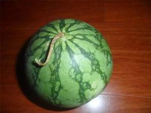 绝绝吃瓜,揭秘娱乐圈那些不为人知的幕后故事