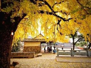 浙江网红黄某,从网络红人到社会影响力者的蜕变之路