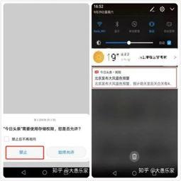 头条隐私设置里没有账号,无账号也能畅享头条隐私设置，解锁个性化信息流体验
