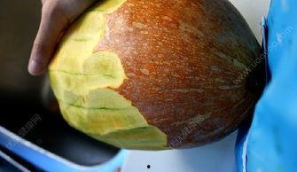 甲亢可以吃酸瓜不