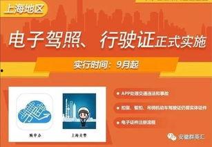 头条抽奖企业排行榜,哪些企业脱颖而出，引领抽奖潮流？”