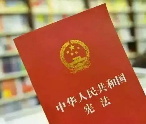 关于国家权利的新闻头条,聚焦最新国际政治焦点